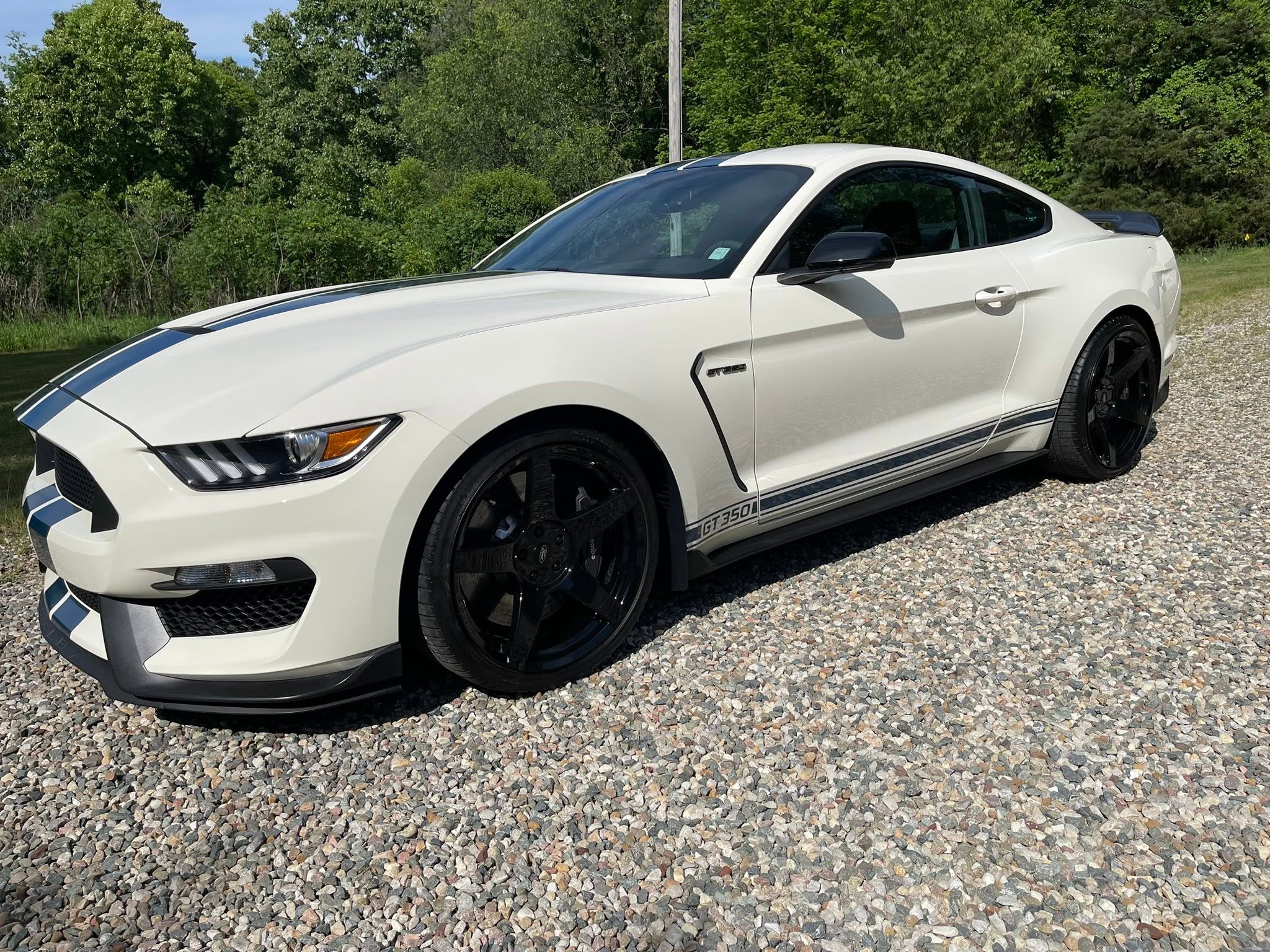Mustang paint correction — Fast Lane Detailing, Battle Creek MI